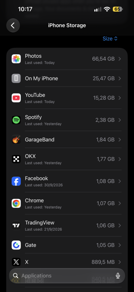 iPhone Storage screen showing apps and storage bar