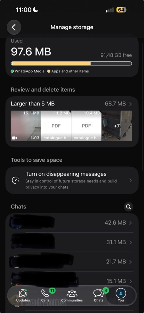 WhatsApp Manage Storage screen on iPhone